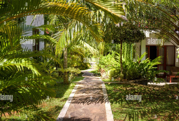 Jalan Setapak Tropis dengan Batu Alam